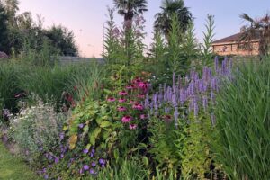 Beplanting